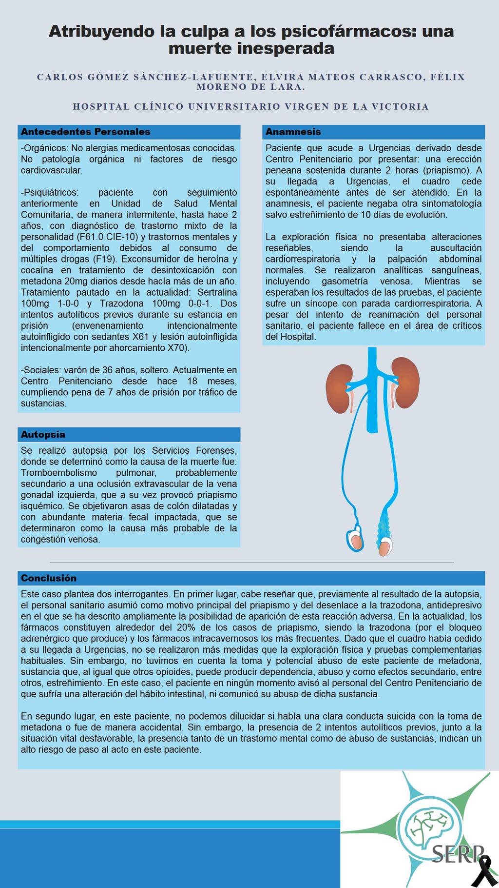 Importado desde XML