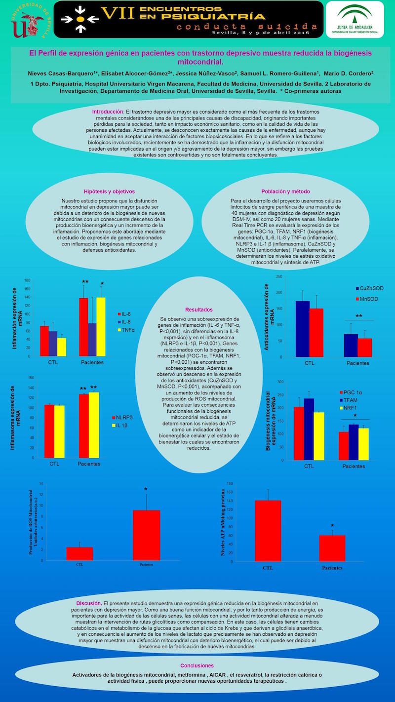 Importado desde XML