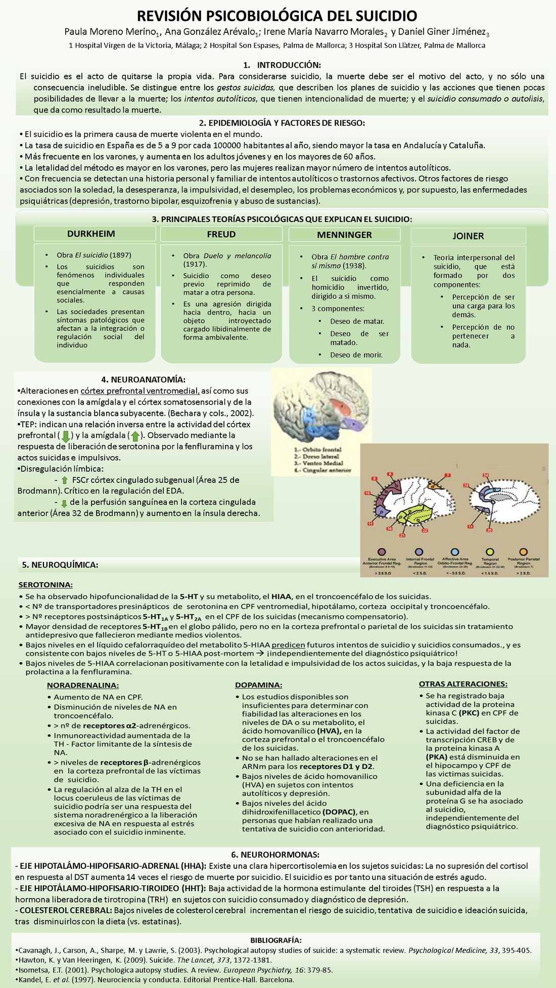 Importado desde XML