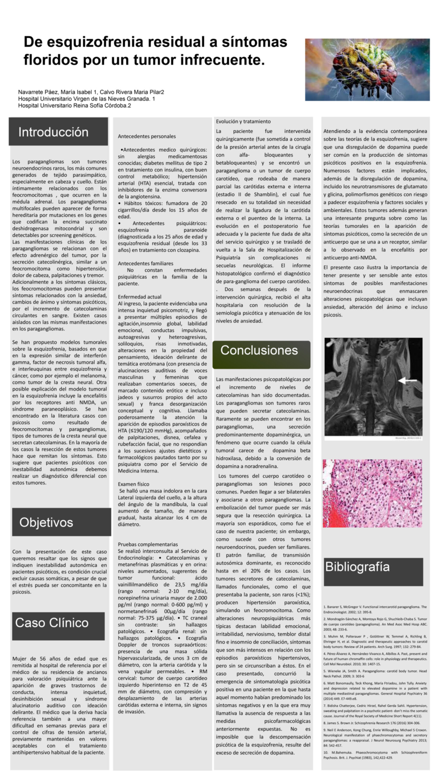 Importado desde XML
